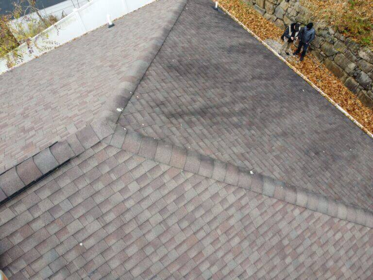 Roof inspection: shingle roof edge with leaves