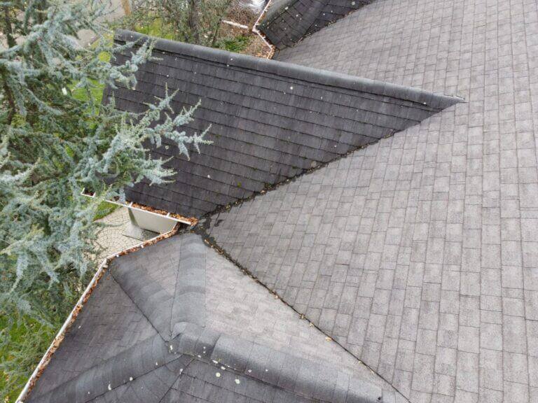 Roof inspection: gray shingle roof valley